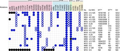 Retained colistin susceptibility in clinical Acinetobacter baumannii isolates with multiple mutations in pmrCAB and lpxACD operons